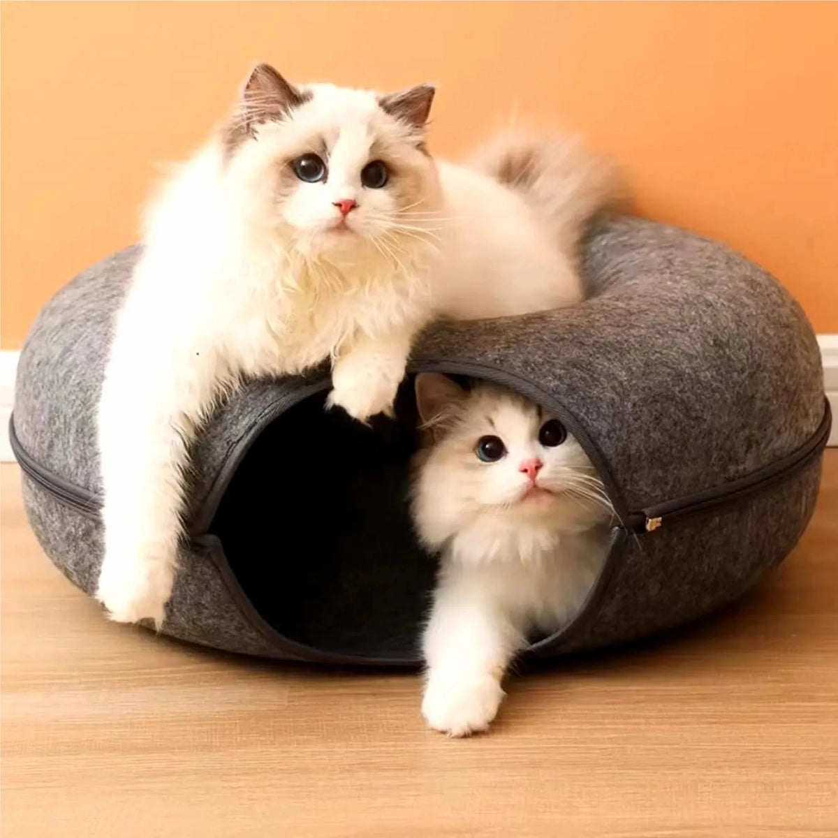 Cozy Adventure Cat Tunnel Bed