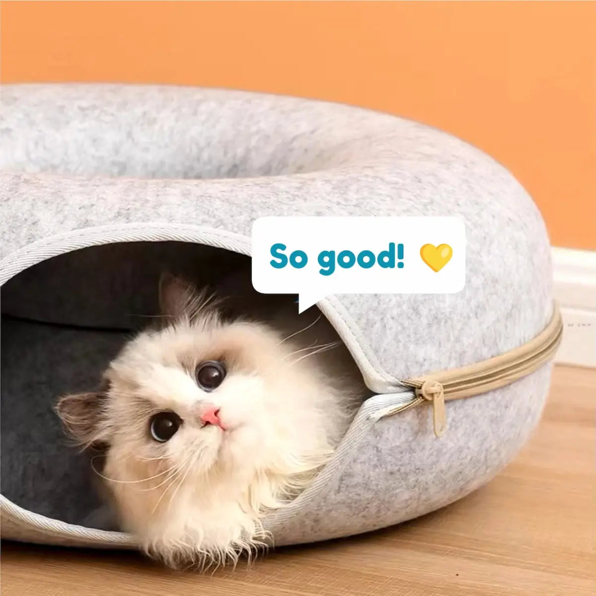 Cozy Adventure Cat Tunnel Bed