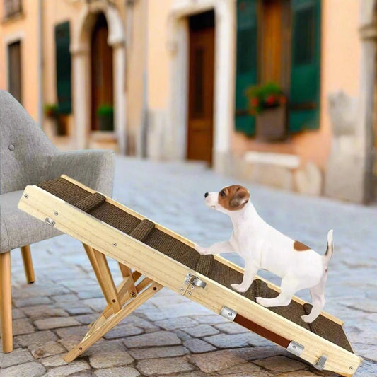 Dog Ramp: Foldable, Non - Slip & Portable - Salamander Prime