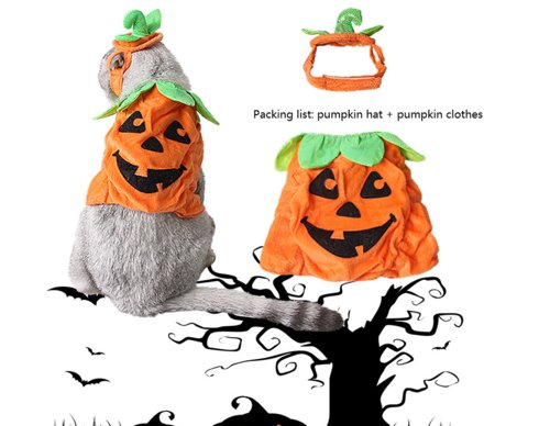 Halloween Pet Cats Costume Props Creative Pumpkin - Salamander Prime