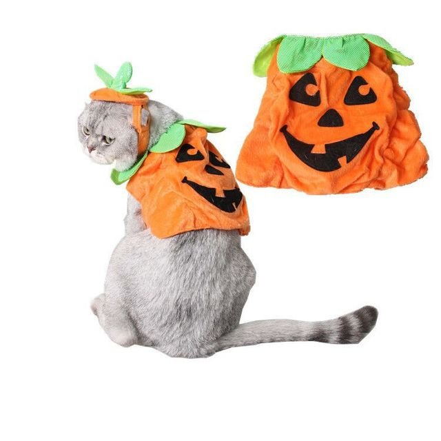 Halloween Pet Cats Costume Props Creative Pumpkin - Salamander Prime