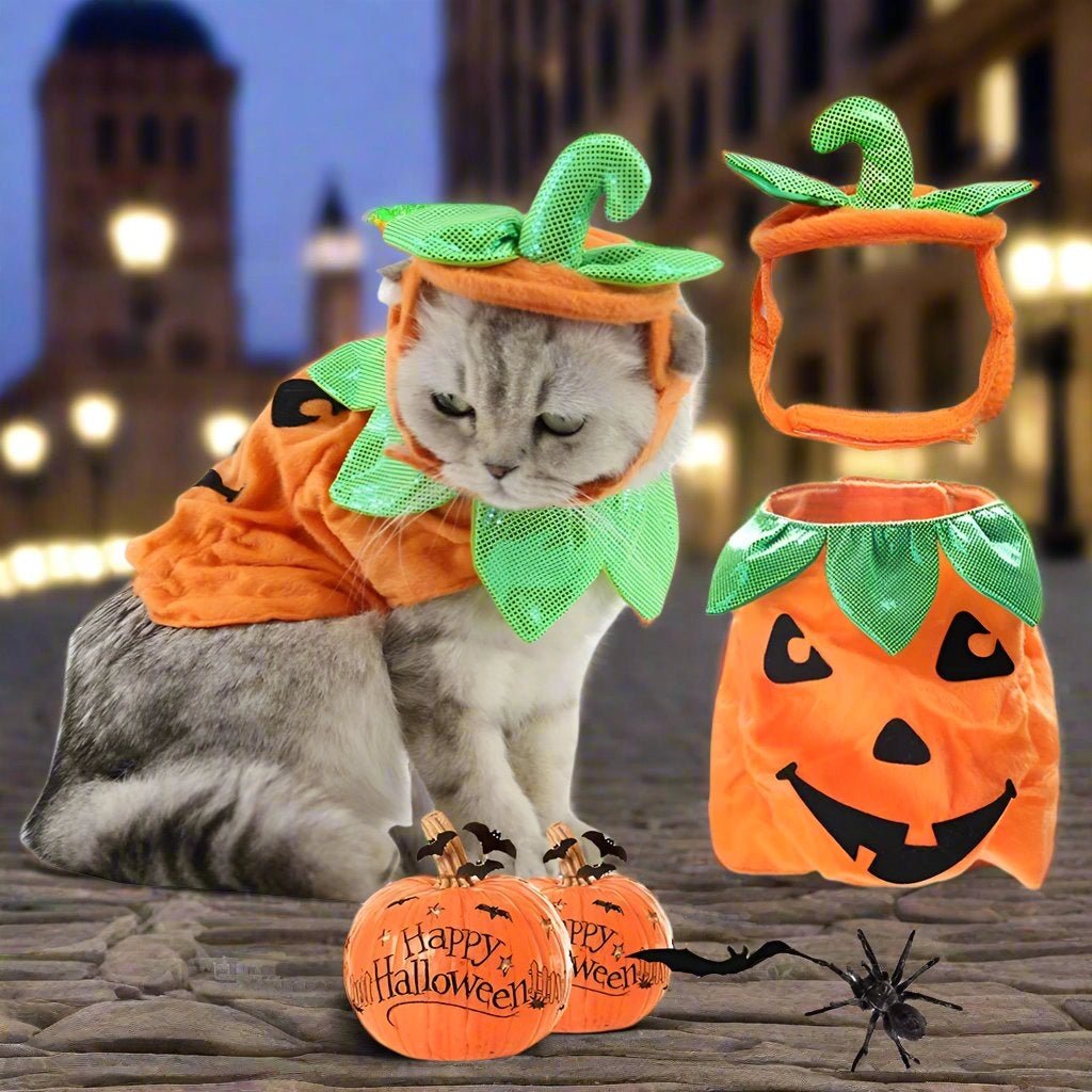 Pumpkin Halloween Cats Costume - Salamander Prime